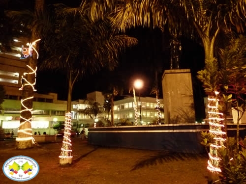 Más sobre la preparación del alumbrado navideño 2010