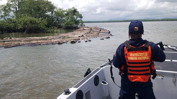 Armada Nacional mantiene la ofensiva contra delitos ambientales en el pacífico