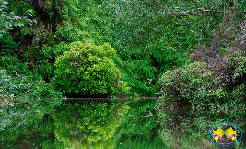 Secretaría de Turismo del Valle promociona a Buenaventura