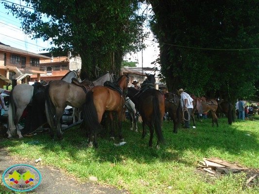 Cabalgata por la Nueva Buenaventura