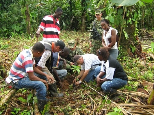 A través del Fondo Regional de Regalías, el Banco Agrario ha aprobado créditos para el fortalecimiento del cultivo de cacao