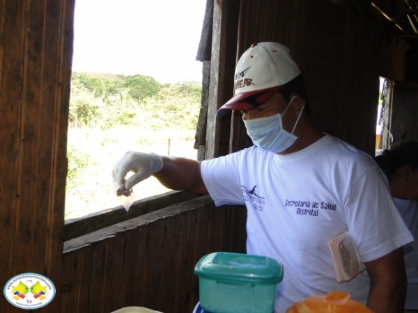 Con éxito terminó la aplicación del rodenticida en 37 barrios de la ciudad