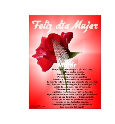 DÍA DE LAS NACIONES UNIDAS PARA LOS DERECHOS DE LA MUJER Y LA PAZ INTERNACIONAL