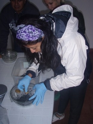 Tecnólogo del programa de Acuicultura de la Universidad del Pacífico labora en la empresa argentina Esturiones y Caviar. S.A