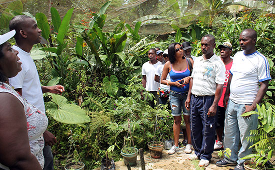 Alcaldía Distrital  de Buenaventura y Comfenalco Valle capacitan en guianza turística