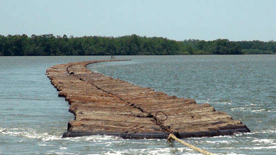 Incautadas 450 toneladas de madera taladas de manera ilegal