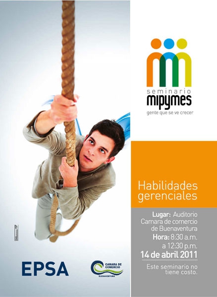 Seminario mipymes, Habilidades Gerenciales