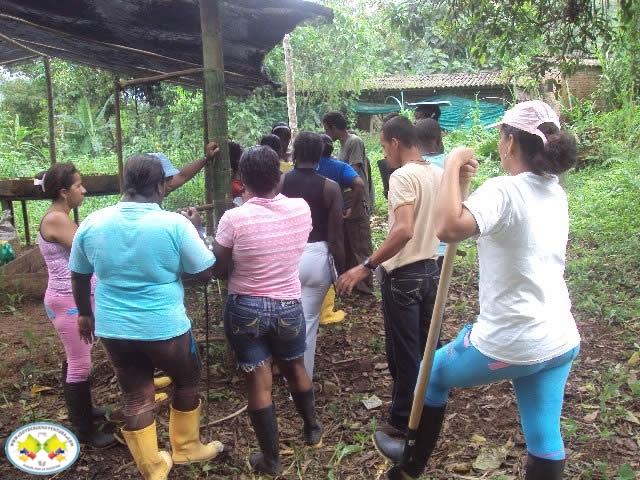 Programa de Agronomía de la Universidad del Pacífico capacita en el manejo de viveros a habitantes de la zona rural de Buenaventura