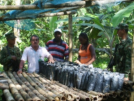 LA ARMADA NACIONAL SIEMBRA FUTURO EN DOS VEREDAS DE BUENAVENTURA