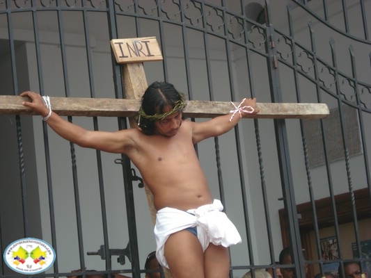Noticias de la Fé Bonaverense