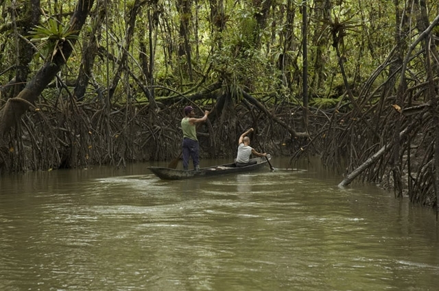 Premian filme "El vuelco del cangrejo" en Berlín