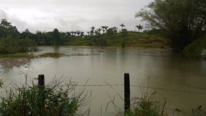 Alerta por creciente del río Dagua en el corregimiento de Zacarías en Buenaventura