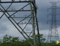 Epsa aclara que no habrá una suspensión general del servicio de energía en Buenaventura