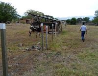 Tierras de extintos narcotraficantes pasan a manos de víctimas en Candelaria Valle