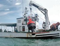 Dimar realiza trabajos de mantenimiento al sistema de señalización marítima en Buenaventura