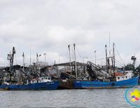 Dimar participó en el 'Taller Circular Externa Conjunta Contra la Pesca Ilegal', en Buenaventura