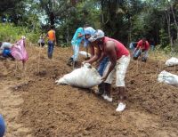 Estudiantes de Agronomía del Trópico Húmedo de Unipacífico, contarán con tres hectáreas de tierra para hacer investigación
