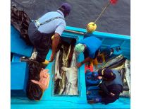 Incautada pesca ilegal a bordo de embarcación ecuatoriana