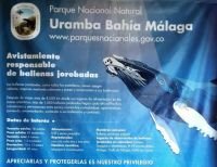 La Dirección General Marítima se une a la preparación de la temporada de avistamiento de ballenas en Buenaventura