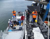 Más de una tonelada y media de cocaína incautada en el océano pacífico por la Armada Nacional cerca de Tumaco