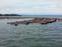 La Armada Nacional incautó madera transportada de manera ilegal en Buenaventura