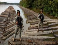 La Armada Nacional incautó madera ilegal