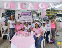 El 22 de octubre se realizará la Caminata Rosada por la Vida para generar conciencia sobre el cáncer de seno