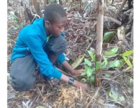 Estudiantes realizaron reforestación en el Bajo Calima