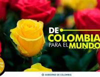 Flores colombianas enamoraron al mundo en la fiesta de San Valentín