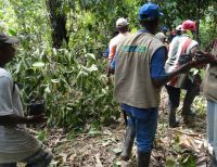 El corregimiento del Bajo Calima fue escogido como uno de los 'Núcleos Forestales' de Colombia