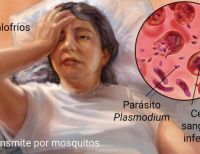 Casos de malaria se incrementaron en el corregimiento de Córdoba