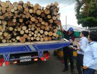 En marcha Plan de Contingencia por falta de papelería para la expedición de salvoconducto para transportar forestal