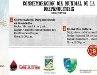 Conmemorarán el Día Mundial de la Drepanocitosis en Buenaventura