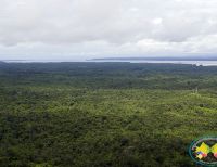 El Pacífico, una de las regiones de Colombia con mayor descenso en la deforestación