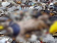 Hallan cuerpo desmembrado en zona de bajamar del barrio Pascual de Andagoya